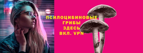 mix Алексин