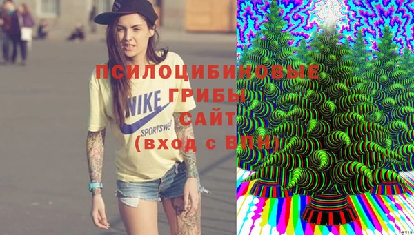mix Алексин